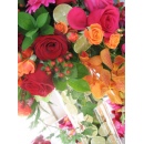 Casar Design