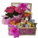 Joaninha Cestas & Festas(27) 3227-2784 /8803-8492