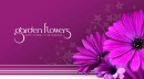 Garden Flowers - Arte Floral e Decora��o