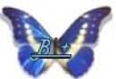 B + Assessoria