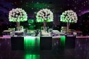 Proluxy - leds , Fibra �tica e proje��o interativa