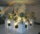 Festas e Decora��es Glamour