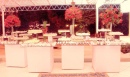 Toke�Special Eventos(71) 3492-6338