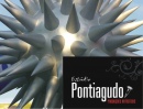 Est�dio Pontiagudo Produ��es Art�sticas ltda