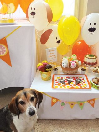 Temas de eventos incríveis: festa para pets