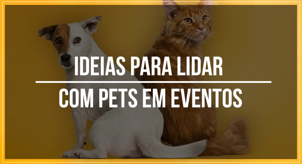 Pets em eventos: como lidar