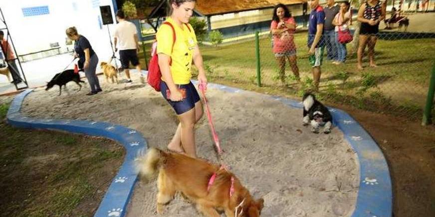 Pets em eventos: como lidar