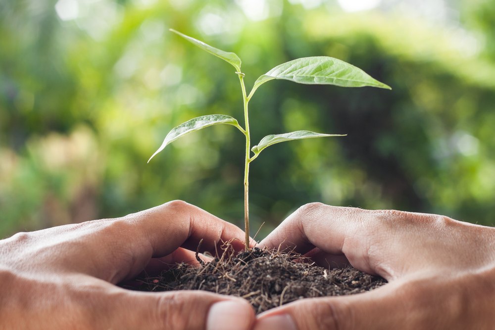 12 dicas para realizar evento mais sustentável